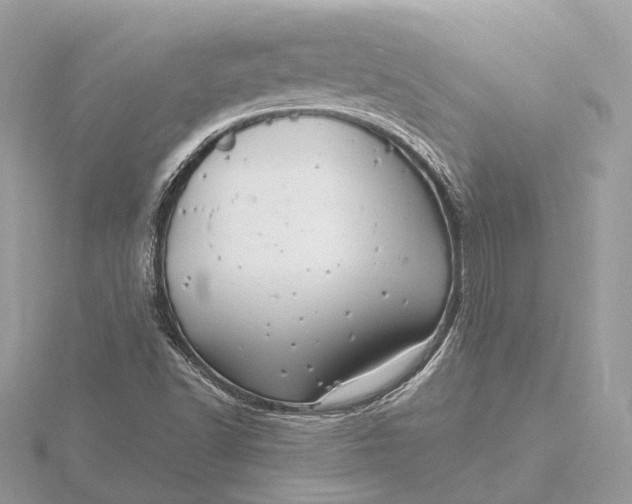 X0000116141502200912071232