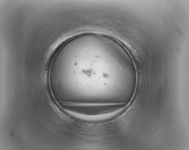 X0000116141503200912071232