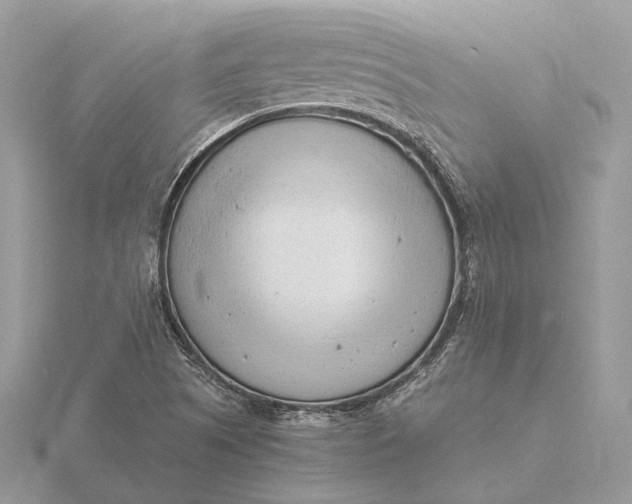 X0000116141505200912071232