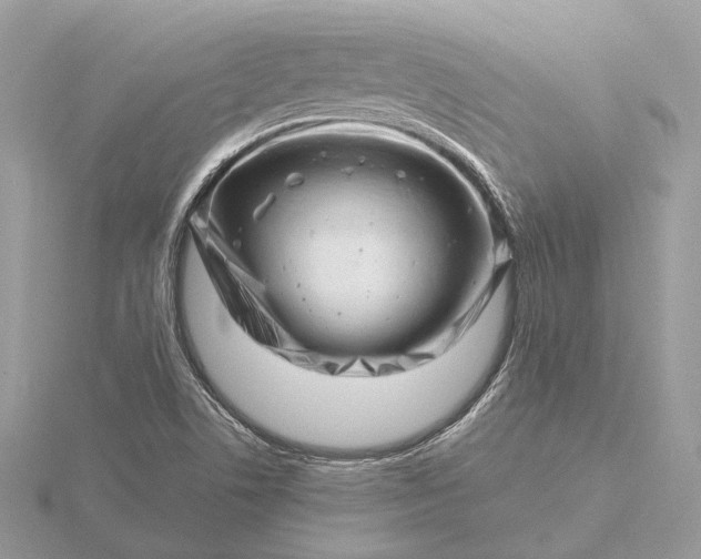 X0000116141506200912071232