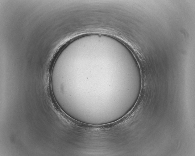 X0000116141507200912071232