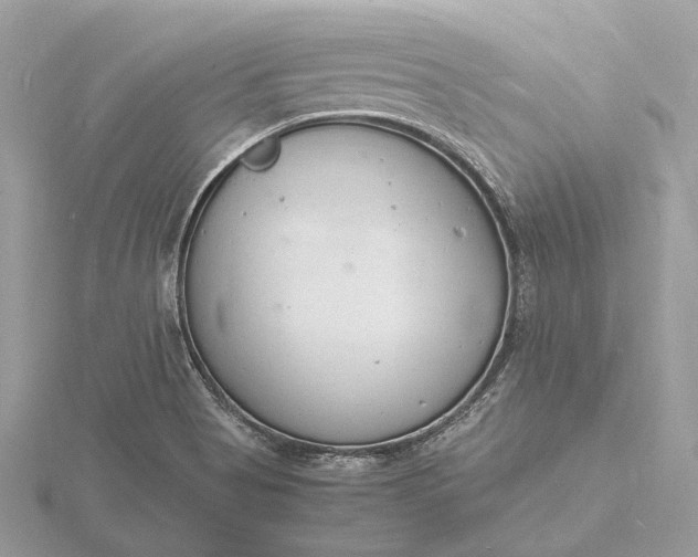 X0000116141513200912071232