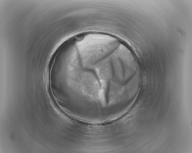 X0000116141515200912071232