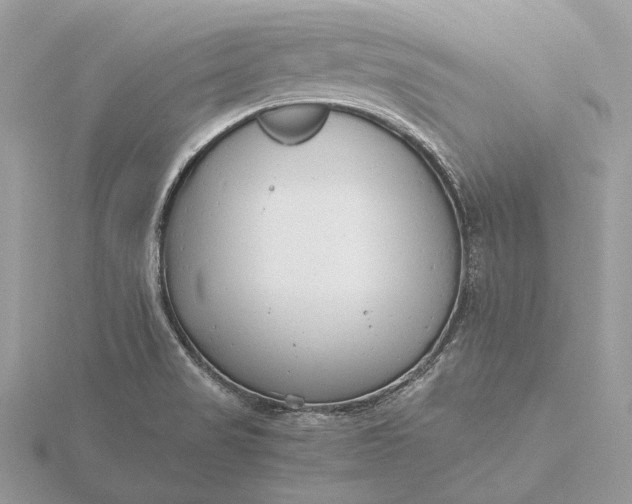 X0000116141517200912071232