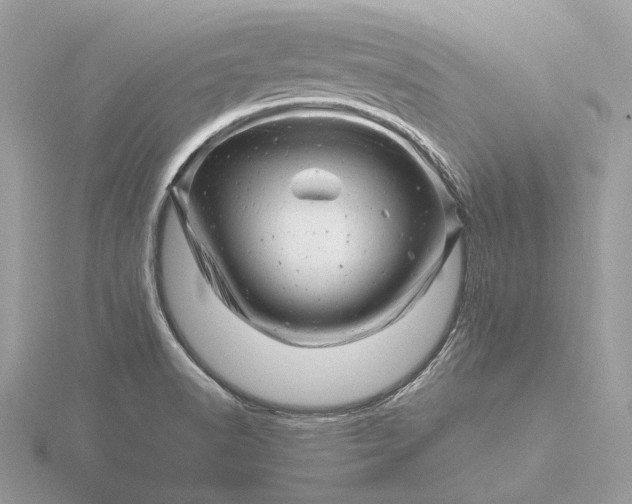 X0000116141518200912071232