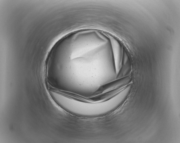 X0000116141519200912071232