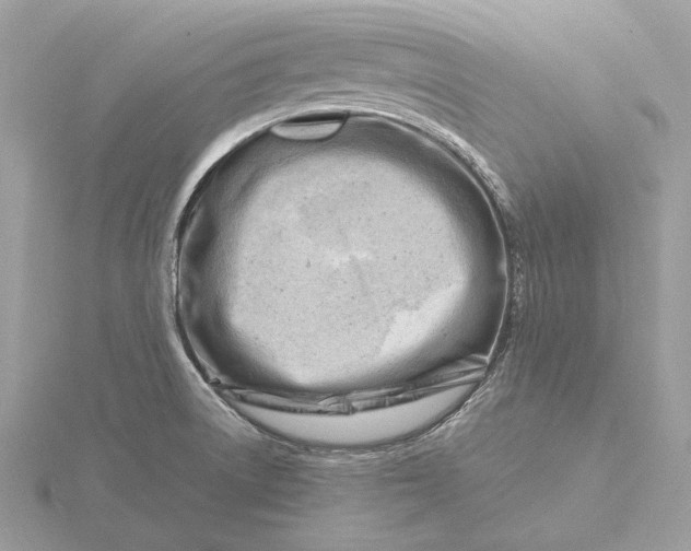 X0000116141522200912071232