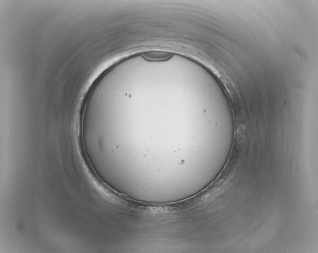 X0000116141523200912071232