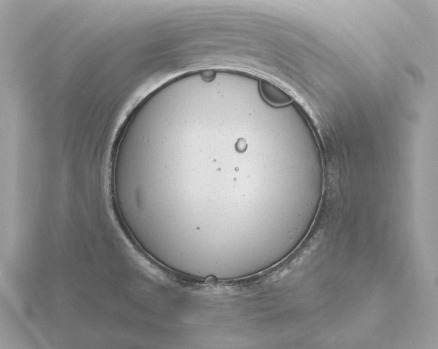 X0000116141525200912071232