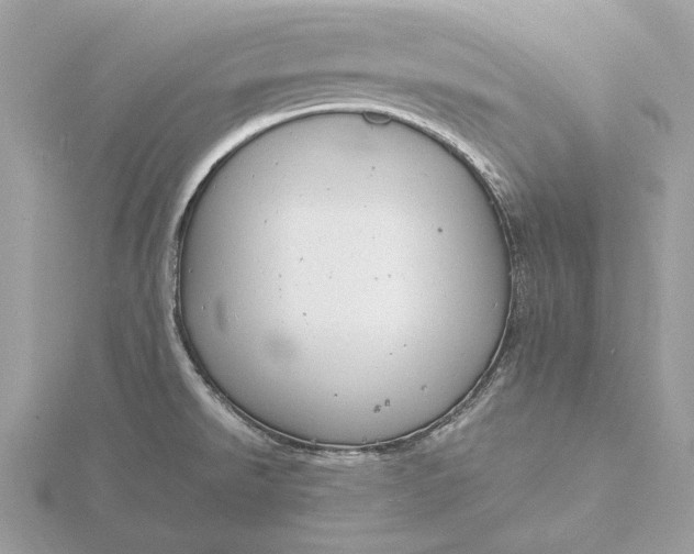 X0000116141526200912071232