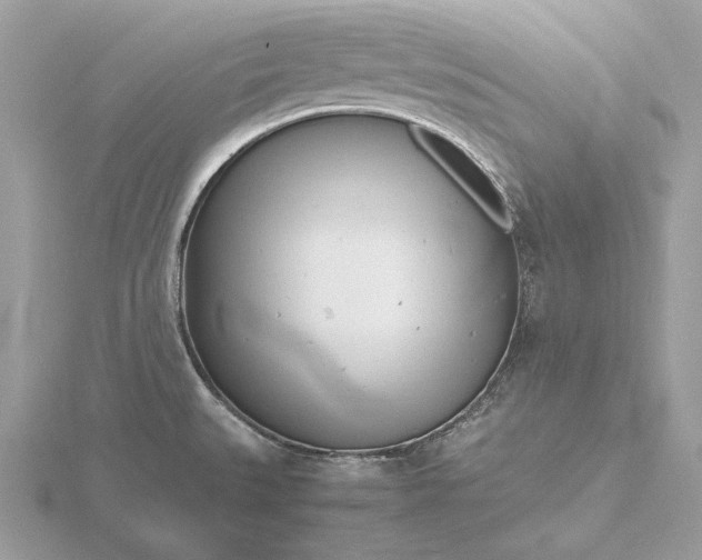 X0000116141527200912071232