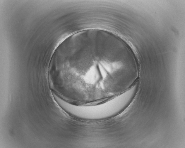 X0000116141529200912071232