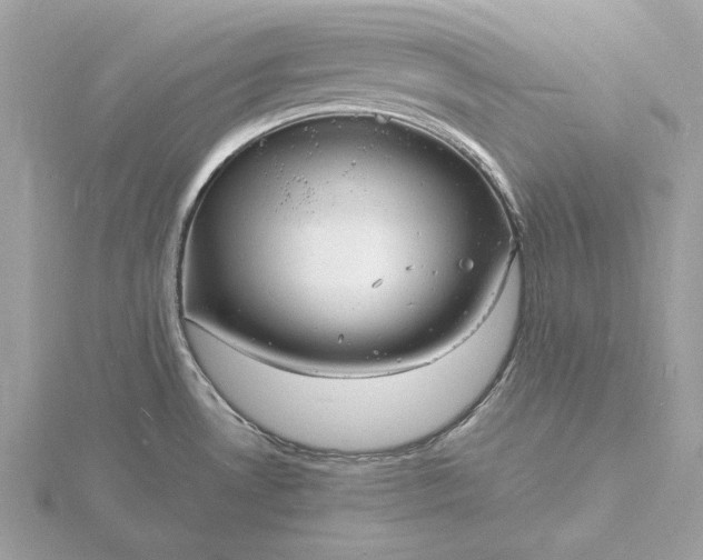 X0000116141530200912071232