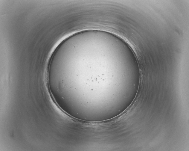 X0000116141531200912071232