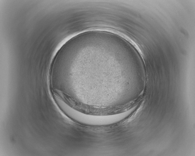 X0000116141533200912071232