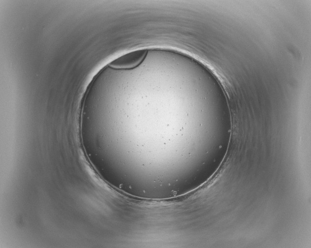 X0000116141534200912071232