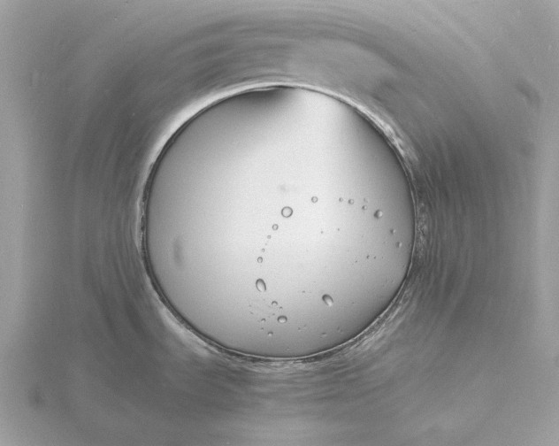 X0000116141535200912071232