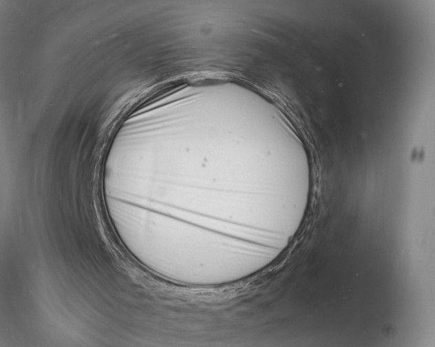 X0000116140001200912141144