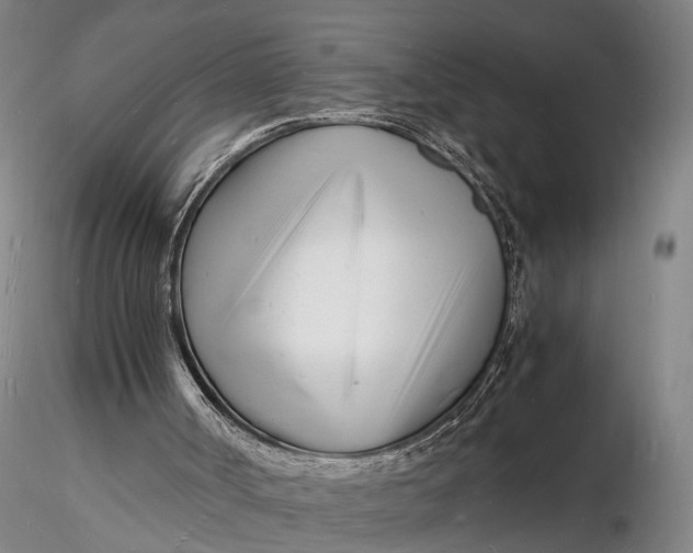 X0000116140002200912141144