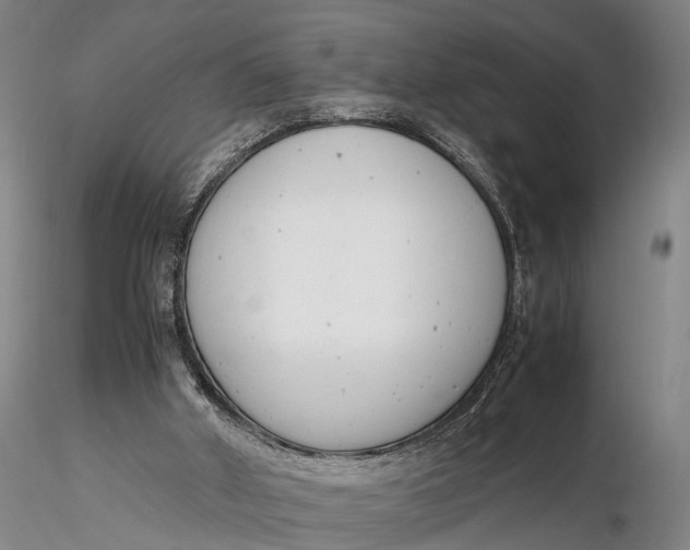 X0000116140010200912141144