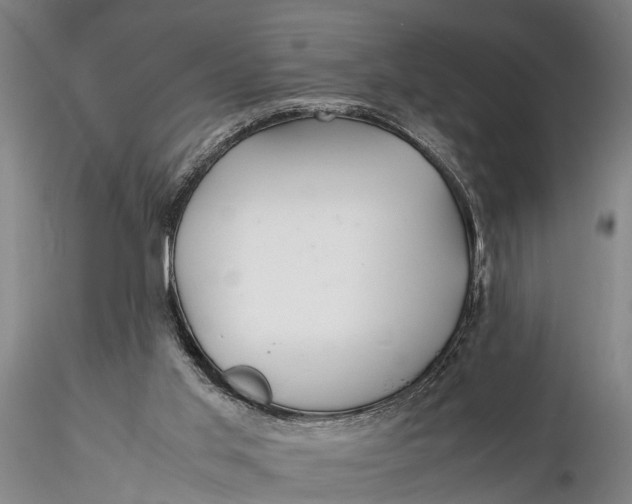 X0000116140013200912141144