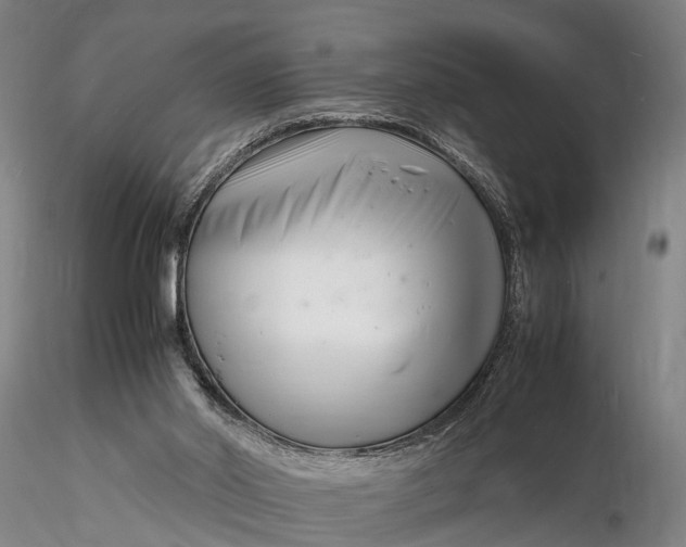 X0000116140014200912141144