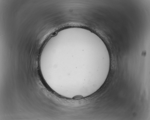 X0000116140015200912141144