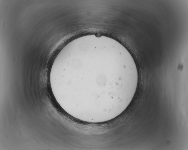 X0000116140016200912141144