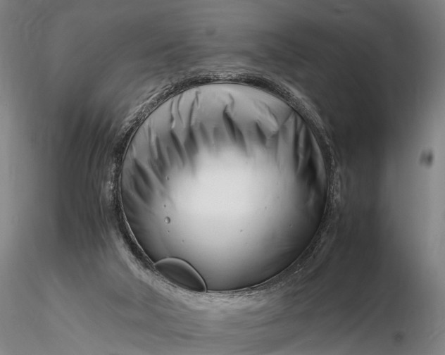 X0000116140018200912141144