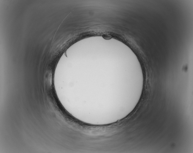 X0000116140021200912141144