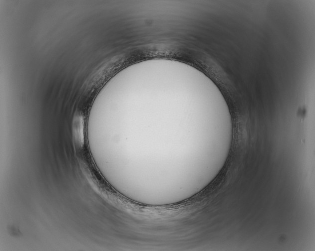 X0000116140022200912141144