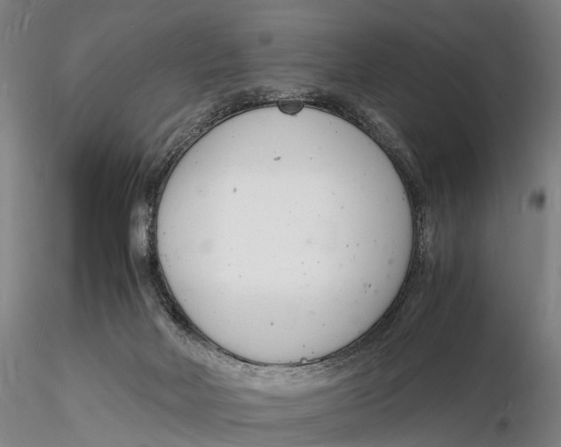 X0000116140026200912141144