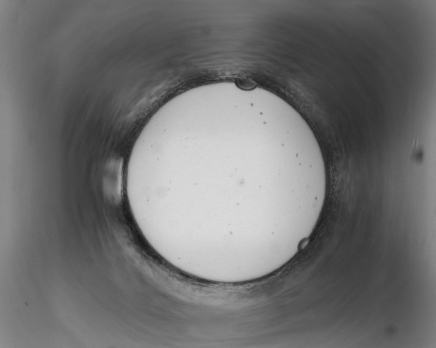 X0000116140028200912141144