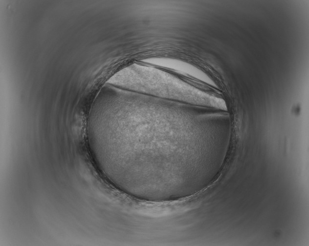 X0000116140029200912141144