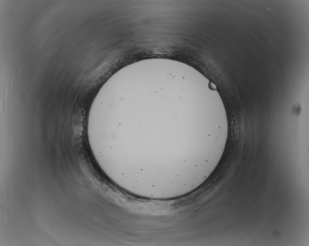 X0000116140032200912141144