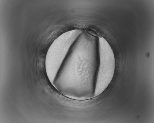 X0000116140035200912141144