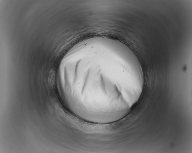 X0000116140036200912141144