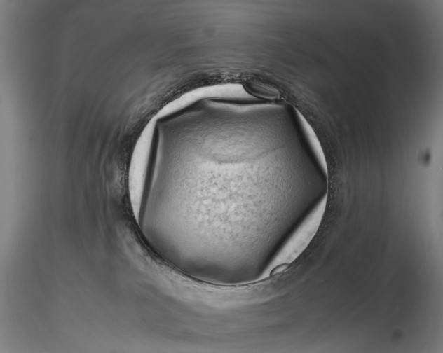 X0000116140039200912141144