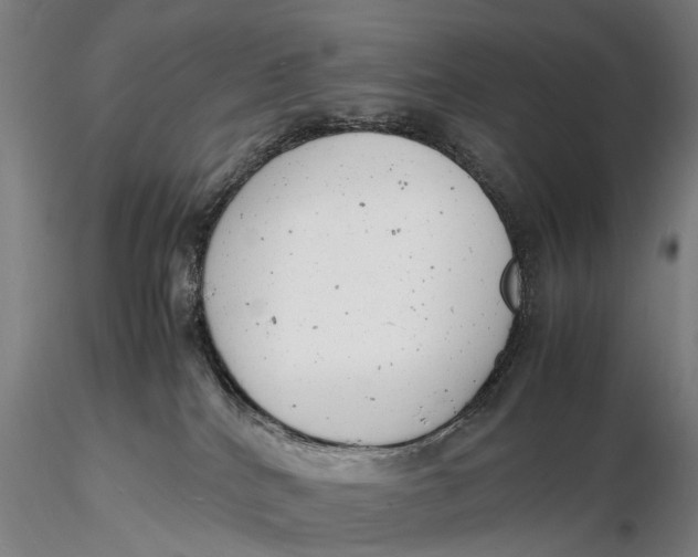 X0000116140040200912141144