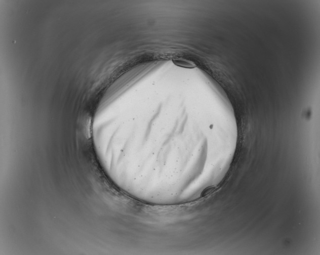 X0000116140041200912141144