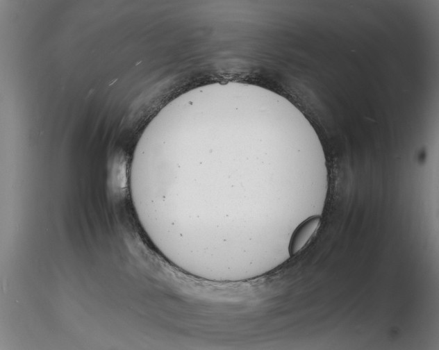 X0000116140042200912141144