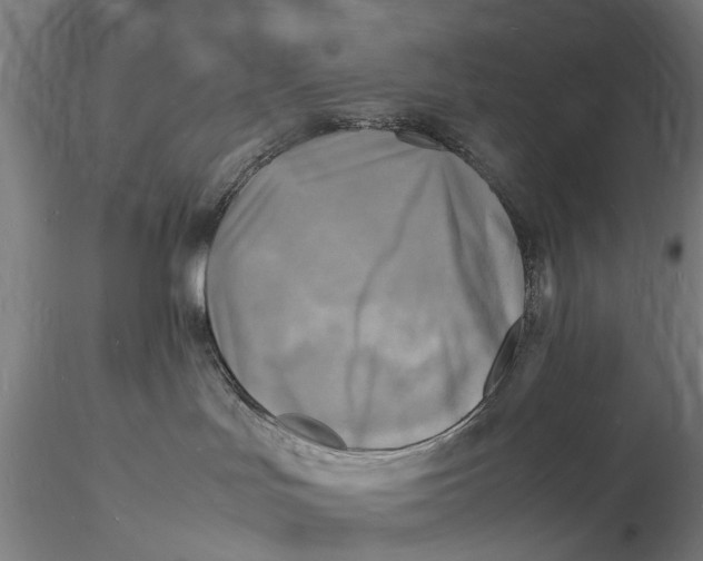 X0000116140047200912141144