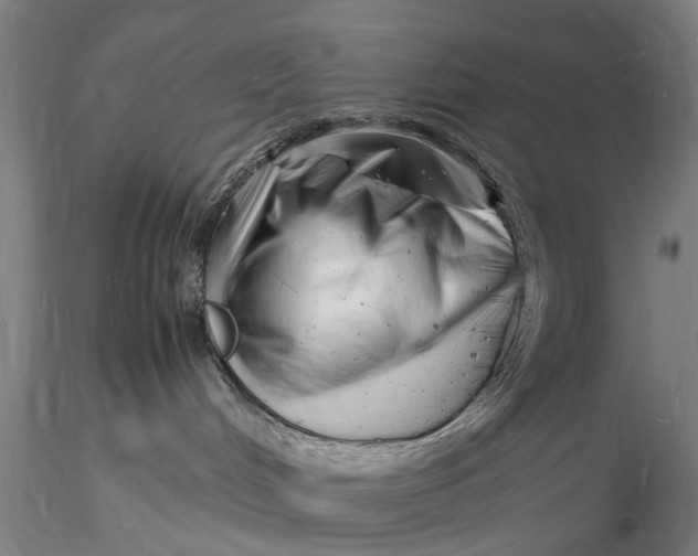 X0000116140048200912141144