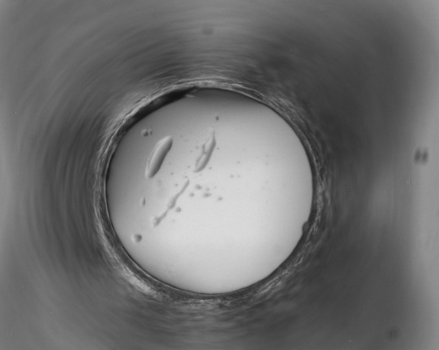 X0000116140049200912141143