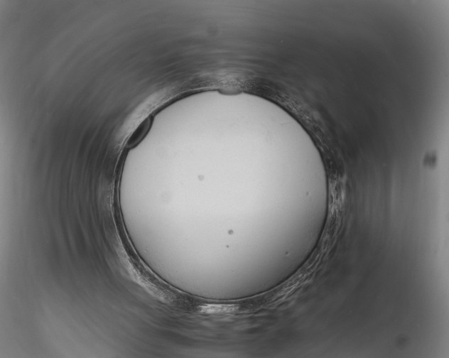 X0000116140051200912141143