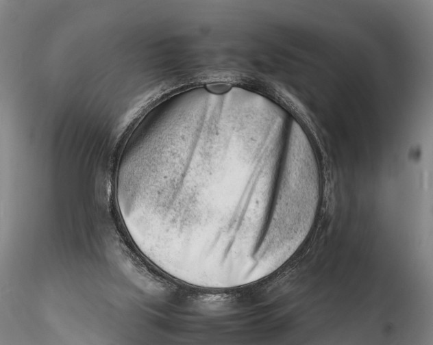 X0000116140059200912141143