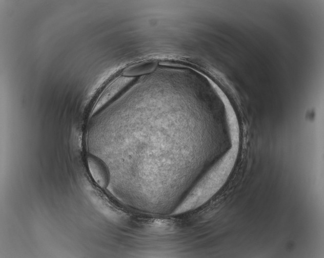 X0000116140060200912141143