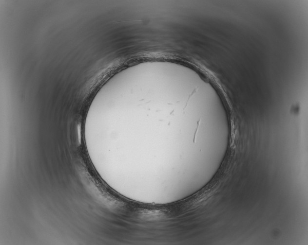 X0000116140061200912141143