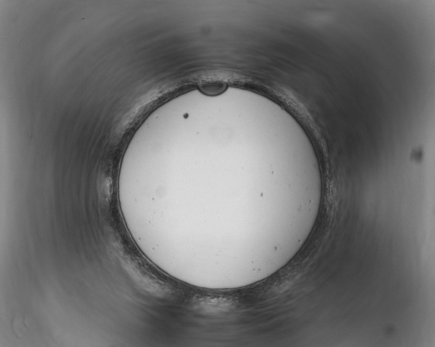 X0000116140063200912141143