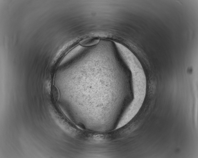 X0000116140064200912141143